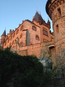 Gemeinsam lernen – immer wieder neu